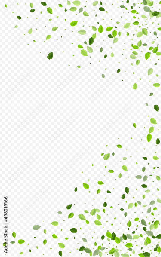 Green Greens Nature Vector Transparent Green Greens Nature Vector Transparent