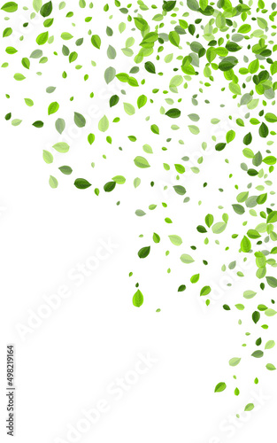 Lime Greens Wind Vector White Background. Motion