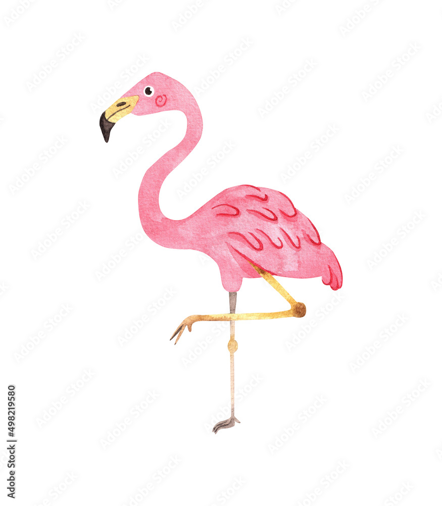 Fototapeta premium Flamingo watercolor illustration isolated on white background. Exotic tropical pink bird