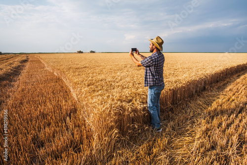 Agronomist is examining process of harvesting wheat. © djoronimo