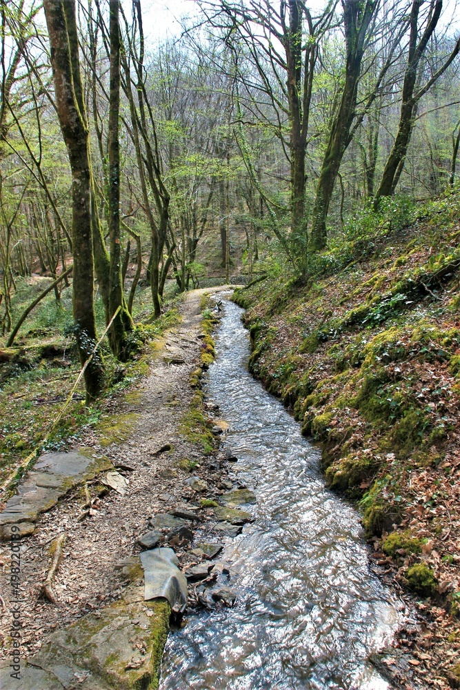 Canal des Chartreux au Glandier. (Corrèze) Canal des Chartreux au Glandier. (Corrèze)