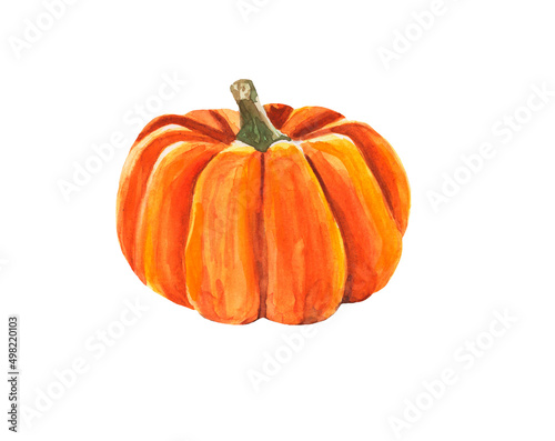 Watercolor pumpkin. Raster vegetable illustration for a cookbook, ingredients of recipes, advertising, cards for children and botanical magazines. Natural and organic agricultural product