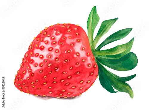 Watercolor strawberry. Raster fruit illustration for a cookbook, ingredients of recipes, advertising, cards for children and botanical magazines. Natural and organic agricultural product