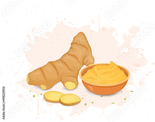 Ginger root vector illustration with ginger paste bowl and round slices