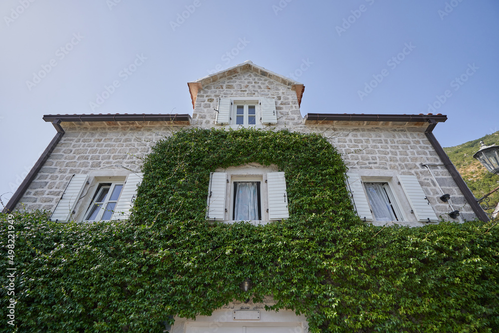 Stoned house overgrown with ivy in a European city