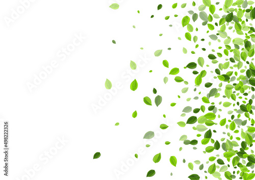 Lime Leaves Swirl Vector Poster. Forest Leaf