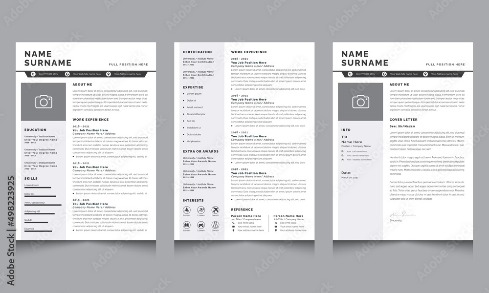Resume Layout with Gray Sidebar Simple Elegant cv Template Accents