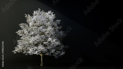 tree with white leaves on black background with copy space