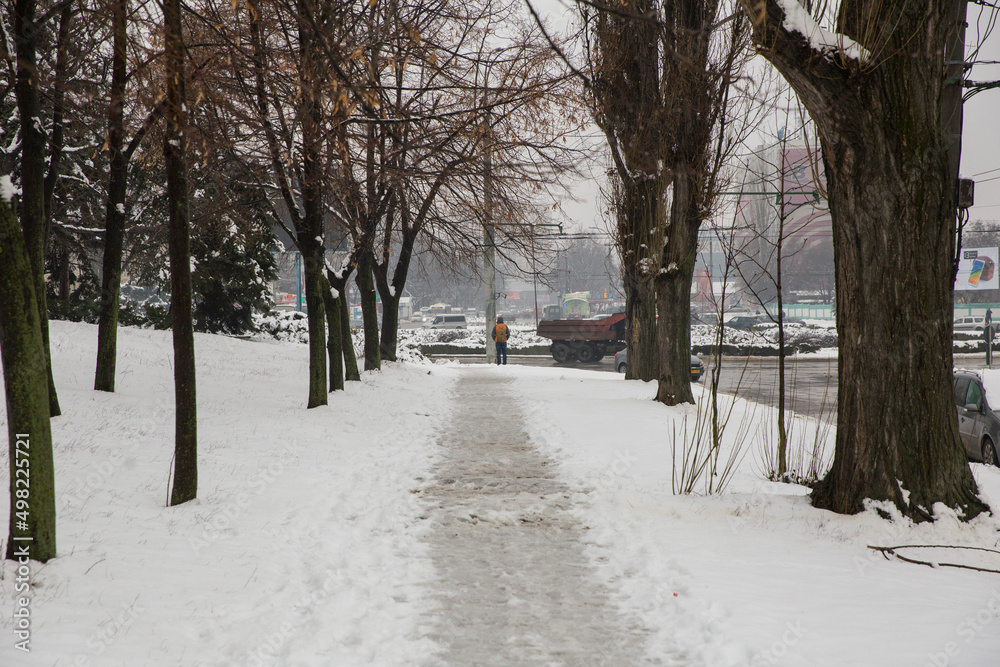 Winter landscape. Winter scene. Snowy path.Snow forest alley