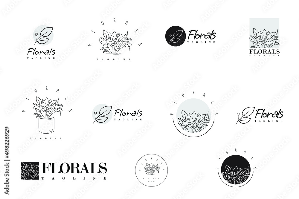 Set of elegant floral logo elements. Borders and dividers, frame corners and branch. 