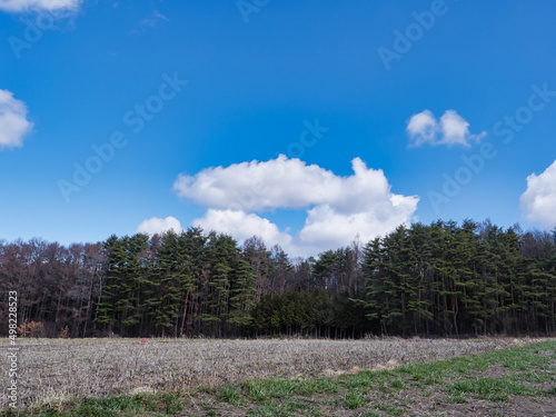 長野の綺麗な青空と遠くに見える森の風景 