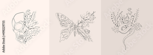 Half shape butterfly  snake and skull with branch and flowers for tattoo t-shirt print or wall art. Hand drawn wedding herb. Botanical rustic trendy greenery. Vector