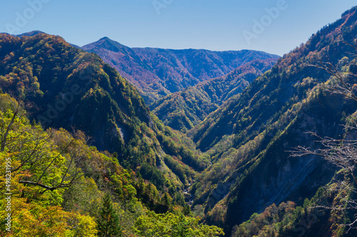 白山白川郷ホワイトロード 紅葉