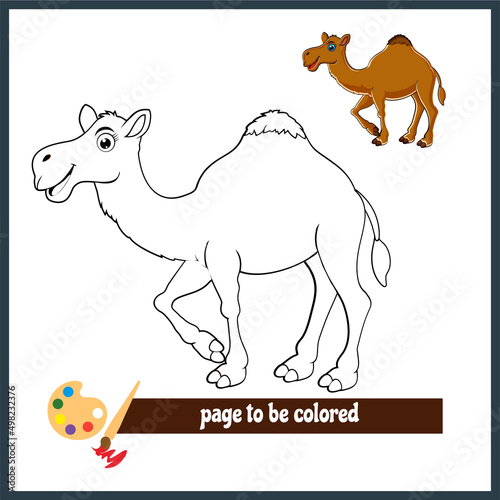 Cartoon camel a coloring