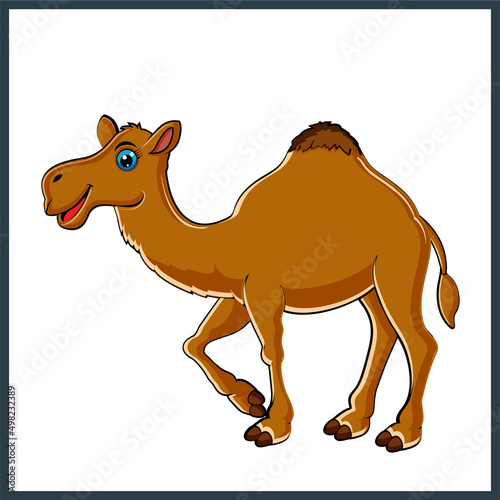 Cartoon camel a coloring