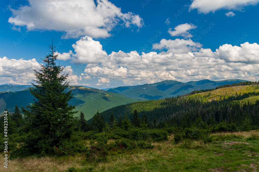 Polonina in the Carpathians against the backdrop of clouds. summer landscape