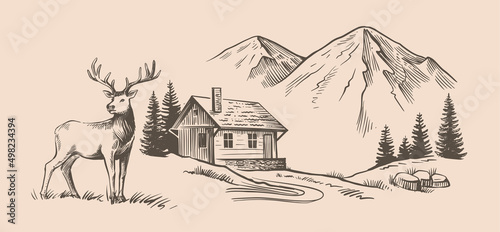 Mountains and house with deer vector. Nature landscape