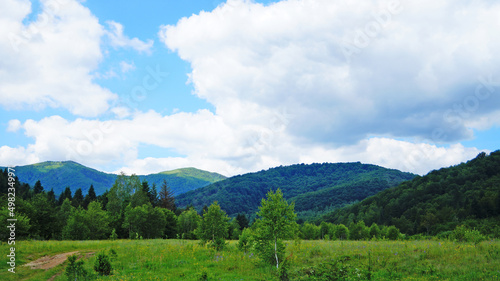 Panoramic view of the Carpathian mountains covered with green grass and forest on a summer sunny day