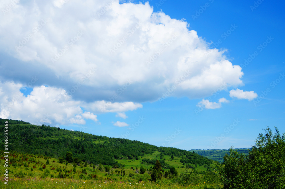 Panoramic view of the Carpathian mountains covered with green grass and forest on a summer sunny day