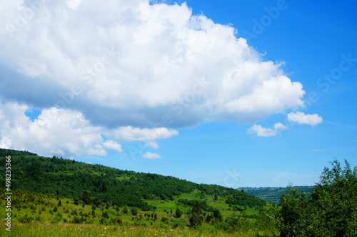 Panoramic view of the Carpathian mountains covered with green grass and forest on a summer sunny day © Vira