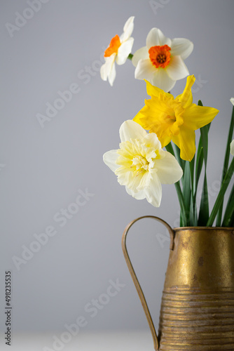 Close up of Blooming spring daffodils flowers in vintage pitcher