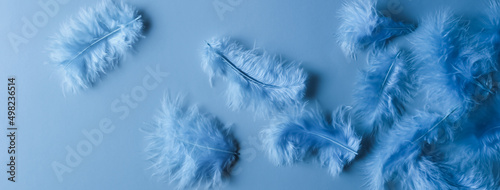 Background with feathers  blue gradation