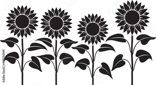 Sunflower Stem Black and white. Vector illustration.