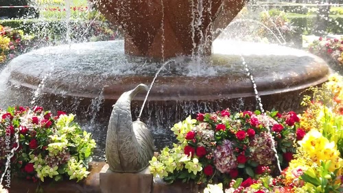 TIMFLORALIS international flower festival held in Timisoara, Romania. Details of a pubic fountain with flower decorations photo