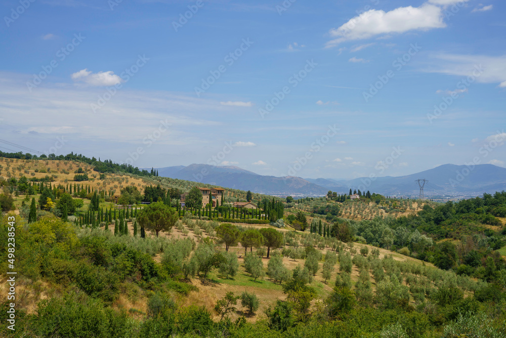 Vineyards of Chianti at summer