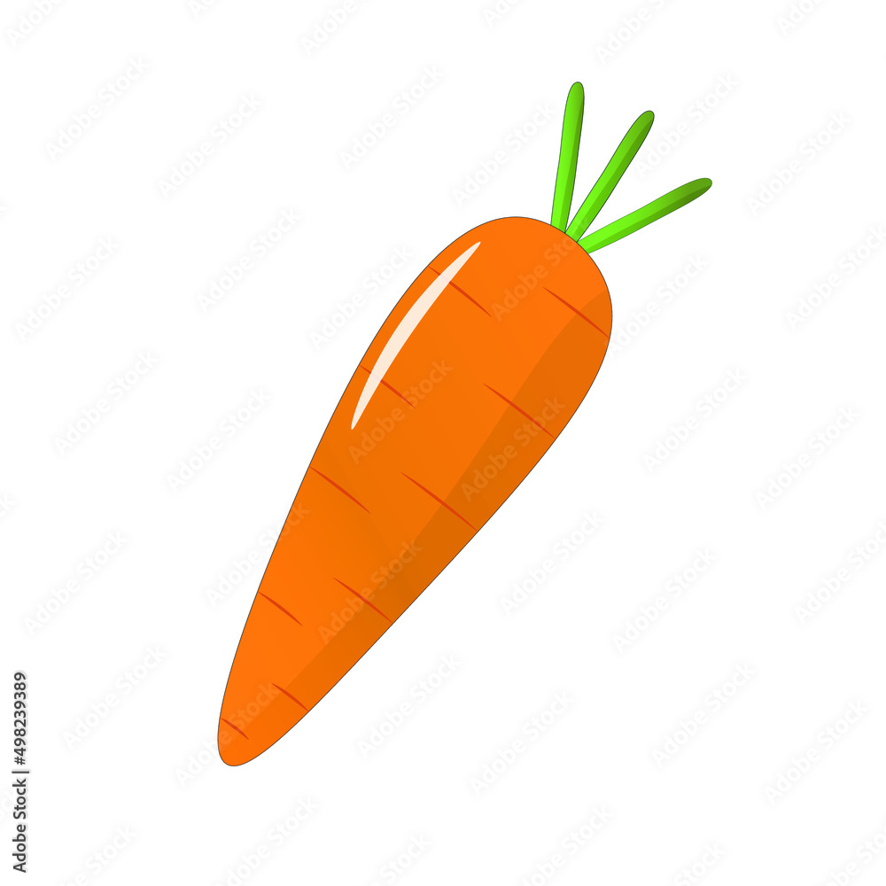 Illustration of carrot isolated. Flat design isolated vector. Flat carrot icon. Carrot for web, design, button, printing, decoration, receipt Illustration of carrot isolated. Flat design isolated vector. Flat carrot icon. Carrot for web, design, button, printing, decoration, receipt