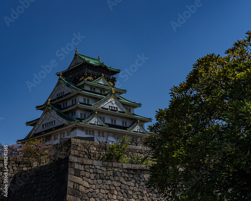 Japanese Castle in the Spring