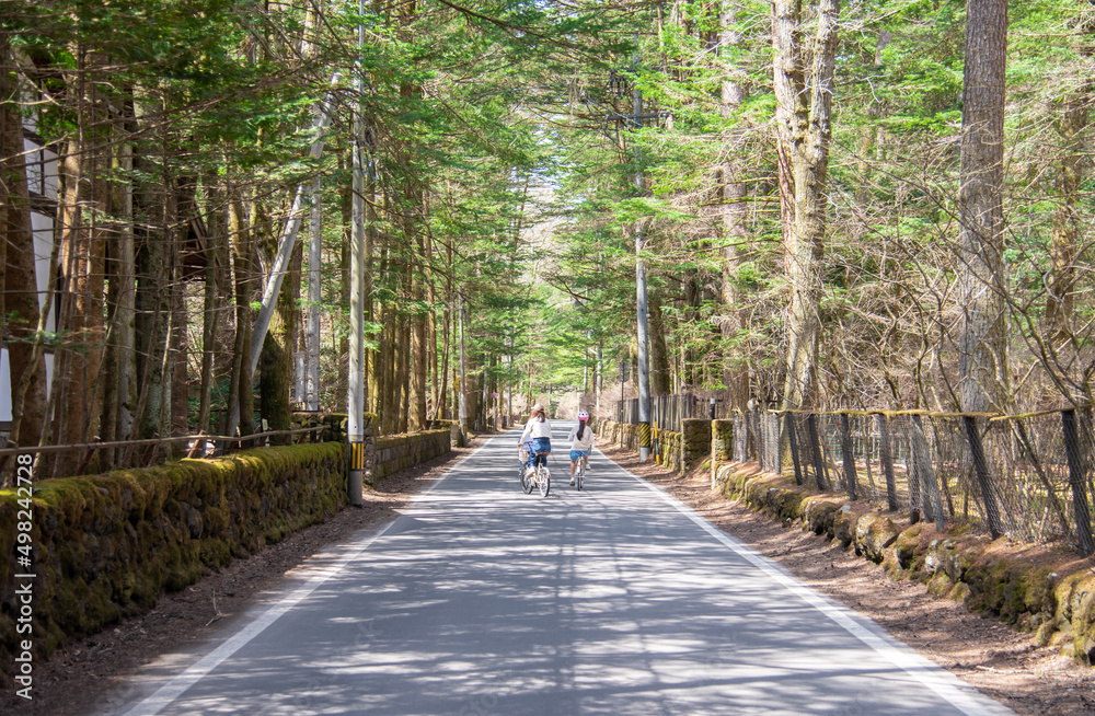 Fototapeta premium 軽井沢でサイクリングを楽しむ家族