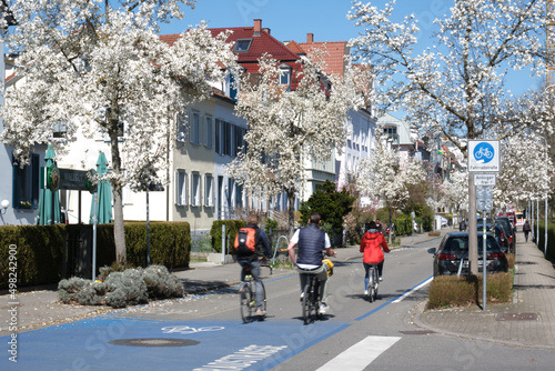 Blühende Magnolien und Radfahrer in Konstanz photo
