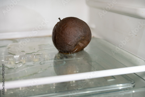 badly rotten snow pear in a fridge photo