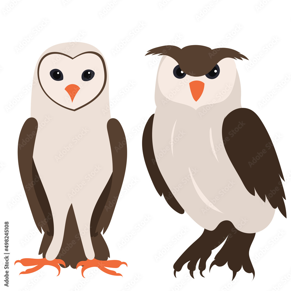 Obraz premium owls flat design, isolated, vector