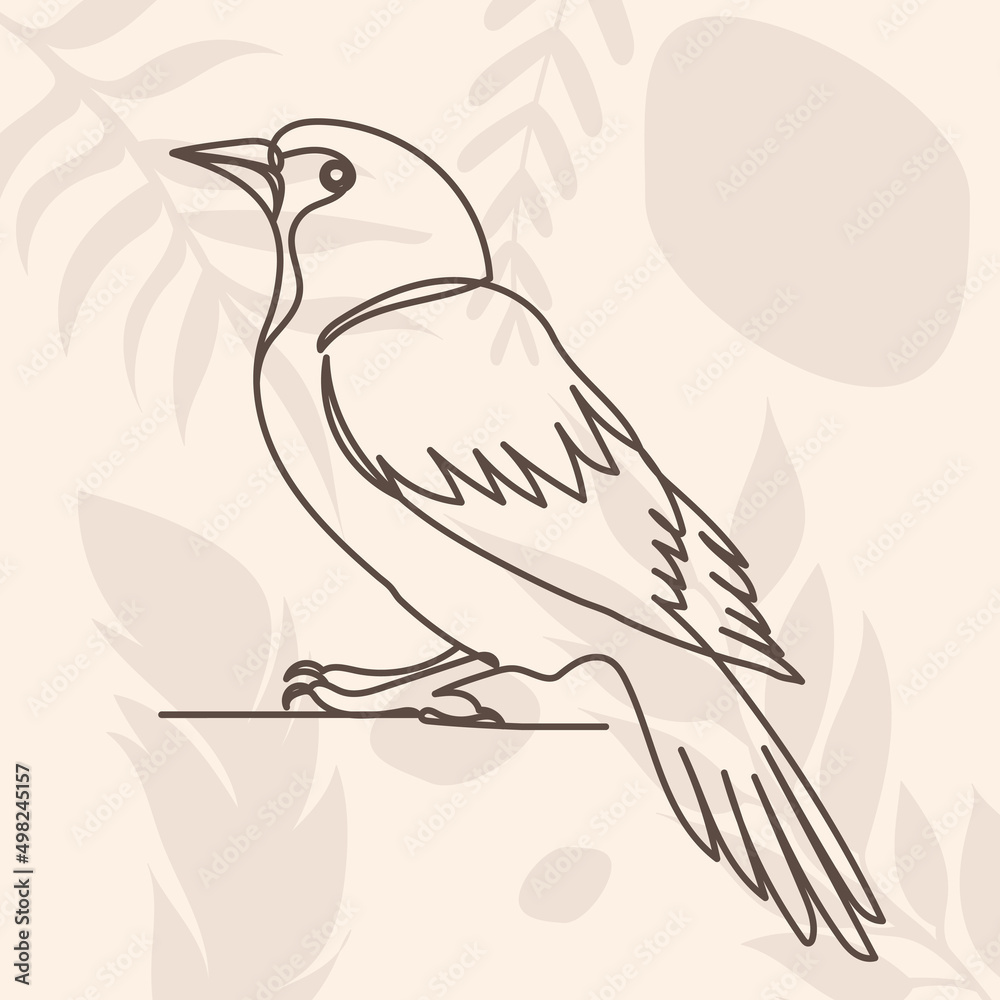 bird drawing in one continuous line
