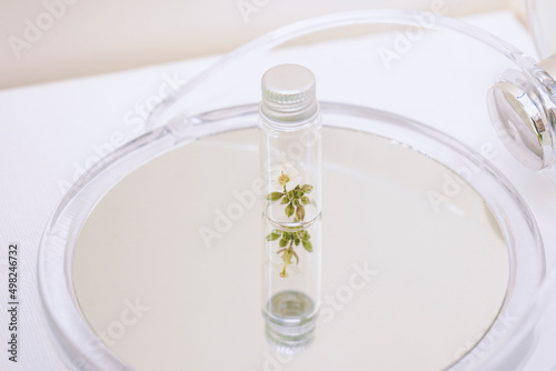 Little plant inside of a little bottle over a mirror