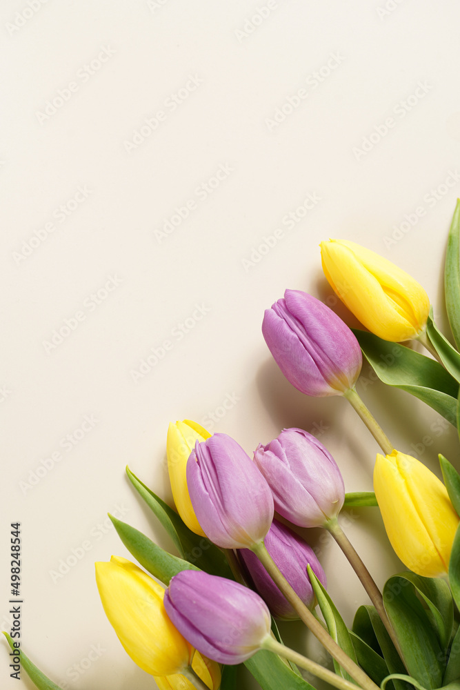 Obraz premium A bunch of yellow and purple tulips on a beige colored background, copy space for text