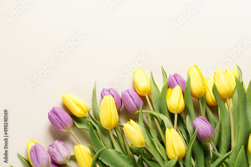 Fototapeta Naklejka Na Ścianę i Meble -  A bunch of yellow and purple tulips on a beige colored background, copy space for text