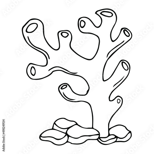 Vector isolated simple contour coral template. Colorless black line coral branch outline doodle sketch.
