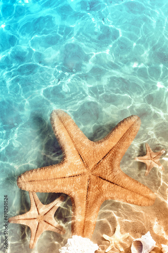 Starfish on the summer beach in sea water. Summer background.