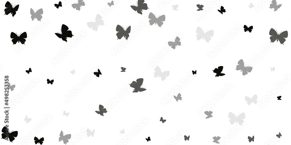 Romantic black butterflies isolated vector background. Summer beautiful insects. Decorative butterflies isolated kids illustration. Sensitive wings moths graphic design. Fragile creatures. Romantic black butterflies isolated vector background. Summer beautiful insects. Decorative butterflies isolated kids illustration. Sensitive wings moths graphic design. Fragile creatures.