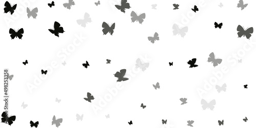 Romantic black butterflies isolated vector background. Summer beautiful insects. Decorative butterflies isolated kids illustration. Sensitive wings moths graphic design. Fragile creatures.