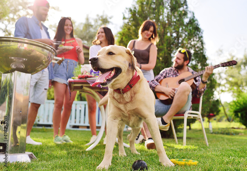 group of friends in the park at a picnic are barbecued, chatting, smiling and playing with a Labrador Retriever dog against the backdrop of greenery and a gazebo