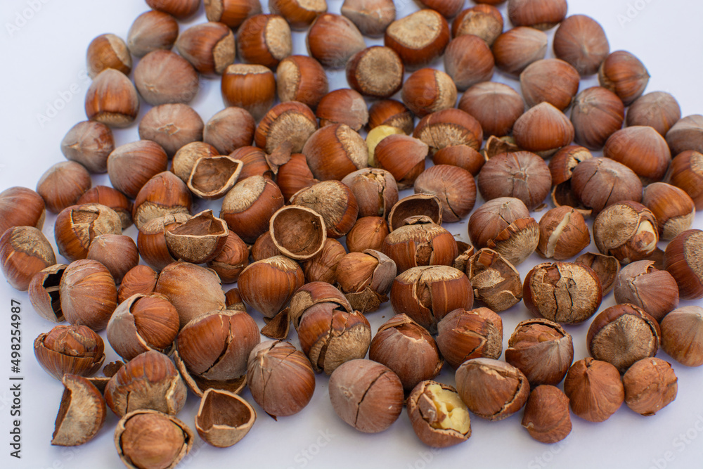 Closeup of cracked hazelnut on white background. Closeup of cracked hazelnut on white background.