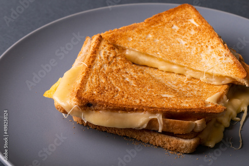High angle view of fresh toast cheese sandwich serving in plate