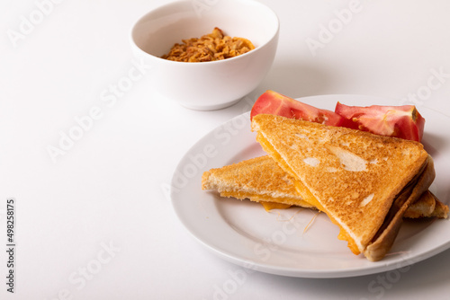High angle view of fresh cheese sandwich served with tomato slices in plate on white background