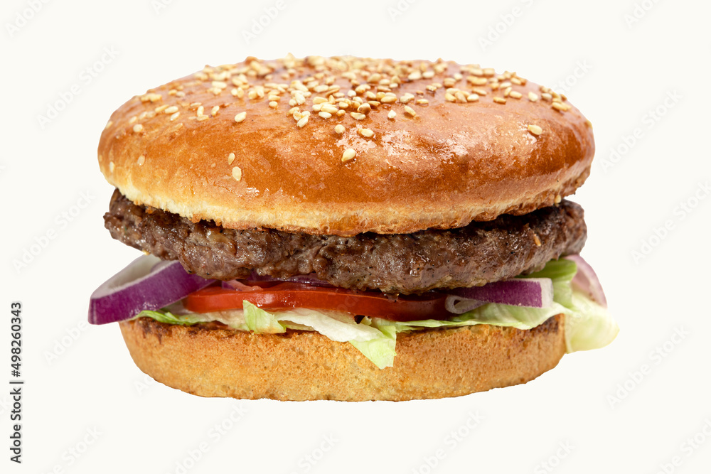 delicious burger isolated for me fast food
