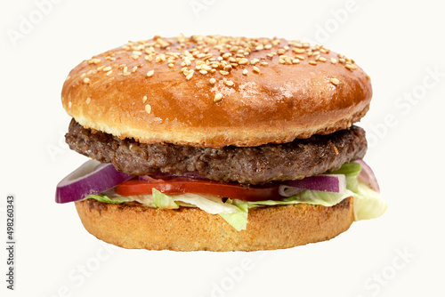 delicious burger isolated for me fast food