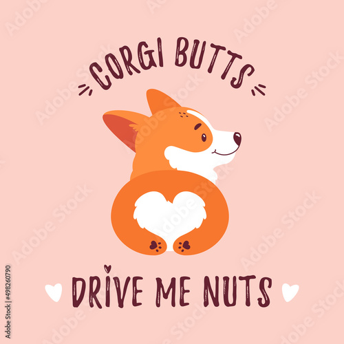 Welsh corgi puppy illustration with funny quote - Corgi butts drive me nuts. Back view of a cute dog. Vector print for card, poster or t-shirt design.